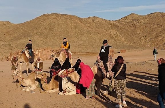 camel-ride