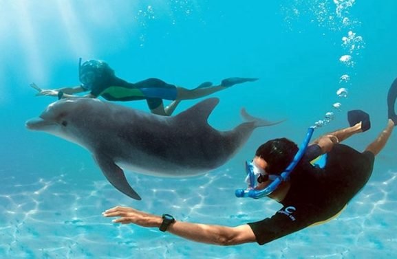 dolphin-house-hurghada-5