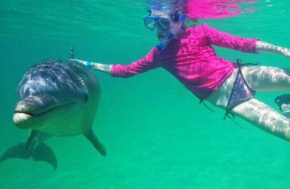 dolphin-swim-and-snorkel-mahogany-bay-isla-roatan-14